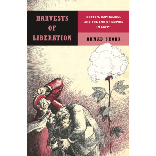 Stanford university press Harvests of Liberation (häftad, eng)