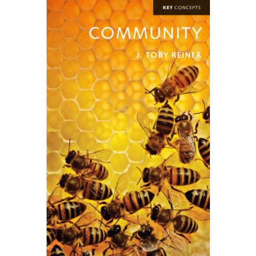 John Wiley And Sons Ltd Community (häftad, eng)