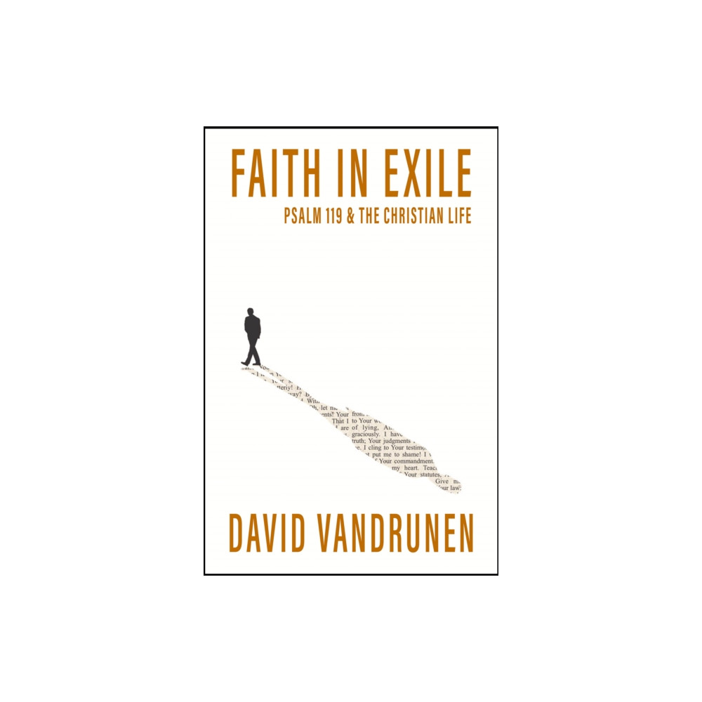 Produktbild för Faith in Exile (häftad, eng)