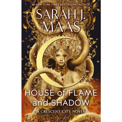 Bloomsbury Publishing PLC House of Flame and Shadow (häftad, eng)
