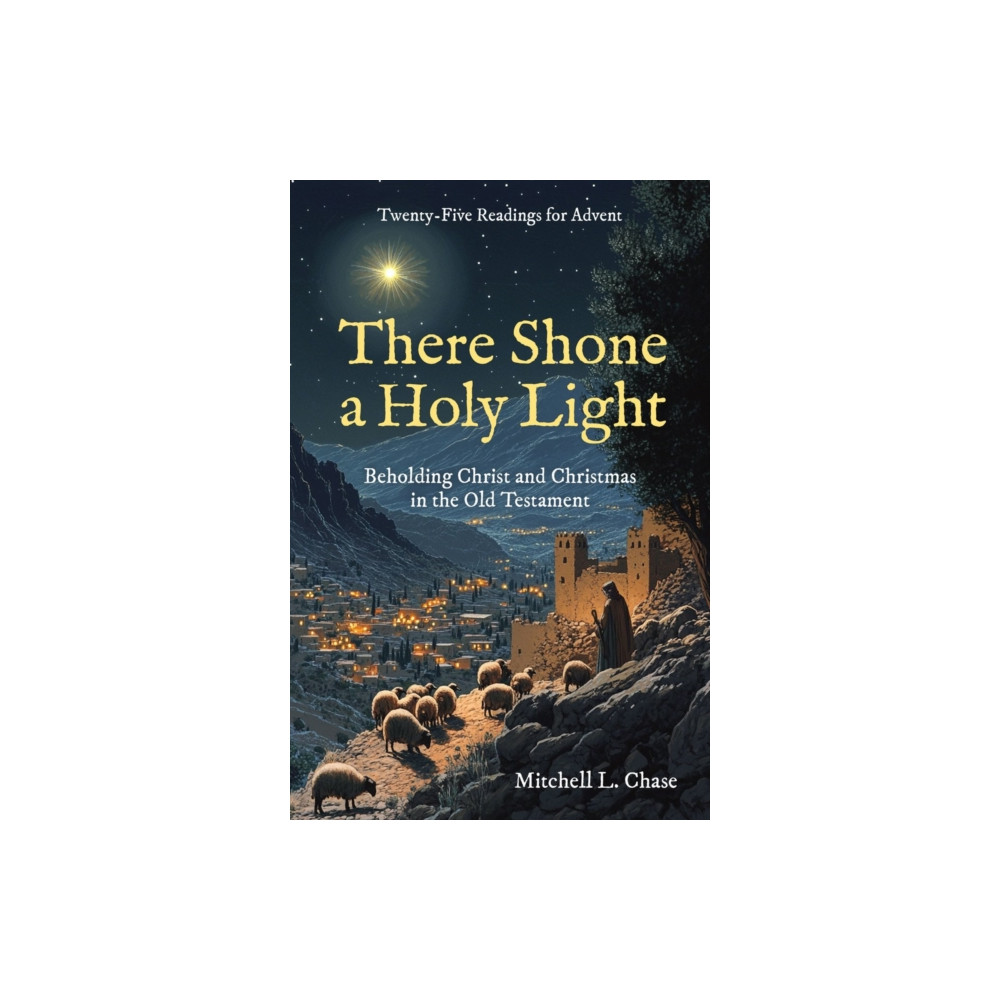 Produktbild för There Shone a Holy Light (inbunden, eng)
