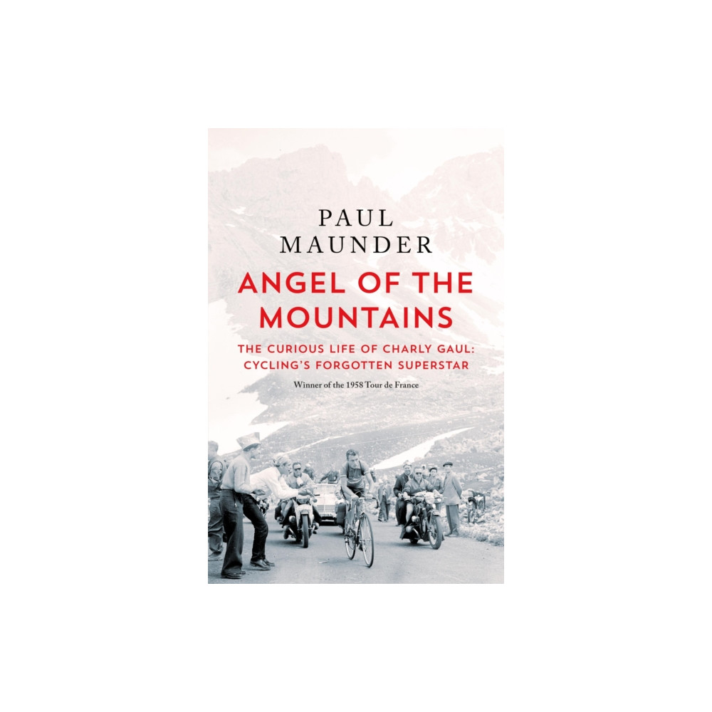 Produktbild för Angel of the Mountains (häftad, eng)