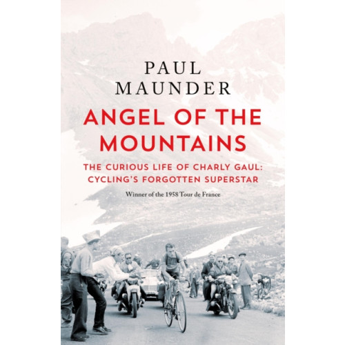 Quercus Publishing Angel of the Mountains (häftad, eng)