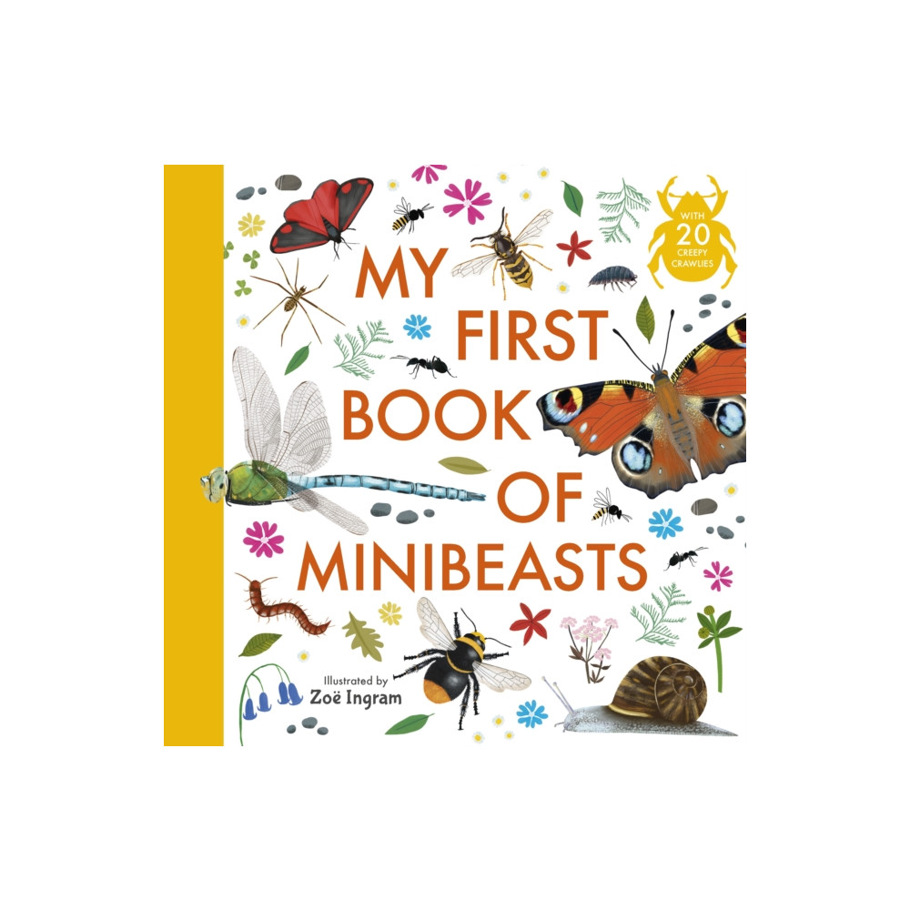 Produktbild för My First Book of Minibeasts (häftad, eng)