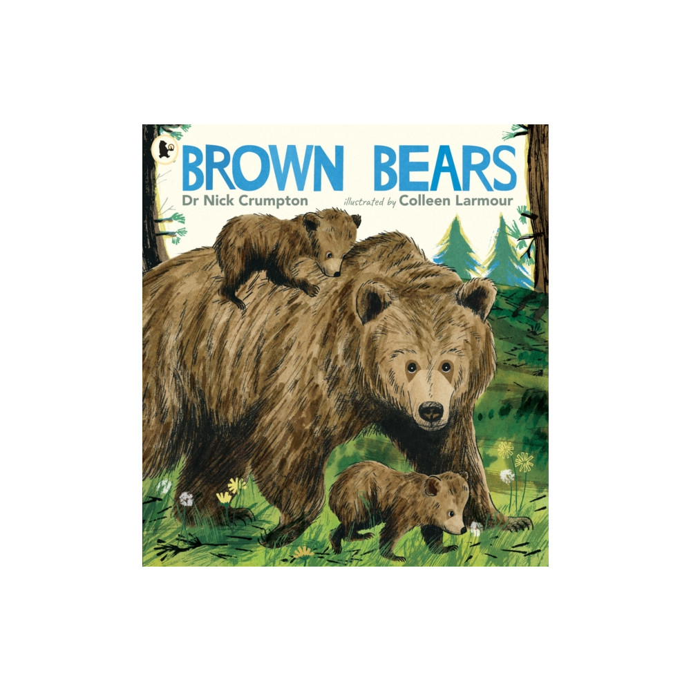 Produktbild för Brown Bears (häftad, eng)