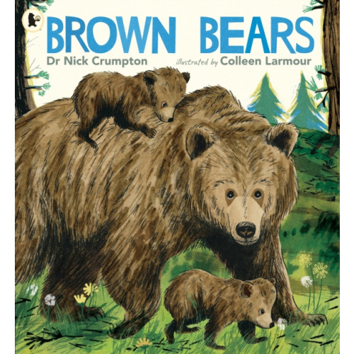 Walker Books Ltd Brown Bears (häftad, eng)