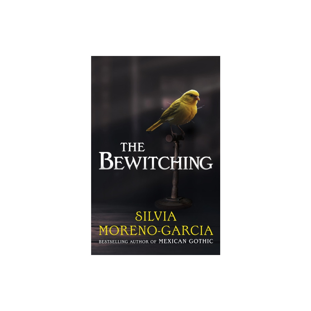 Produktbild för The Bewitching (inbunden, eng)