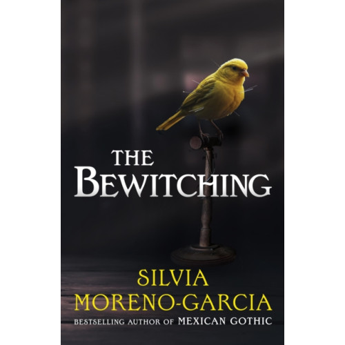 Quercus Publishing The Bewitching (inbunden, eng)