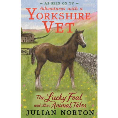 Walker Books Ltd Adventures with a Yorkshire Vet: The Lucky Foal and Other Animal Tales (häftad, eng)