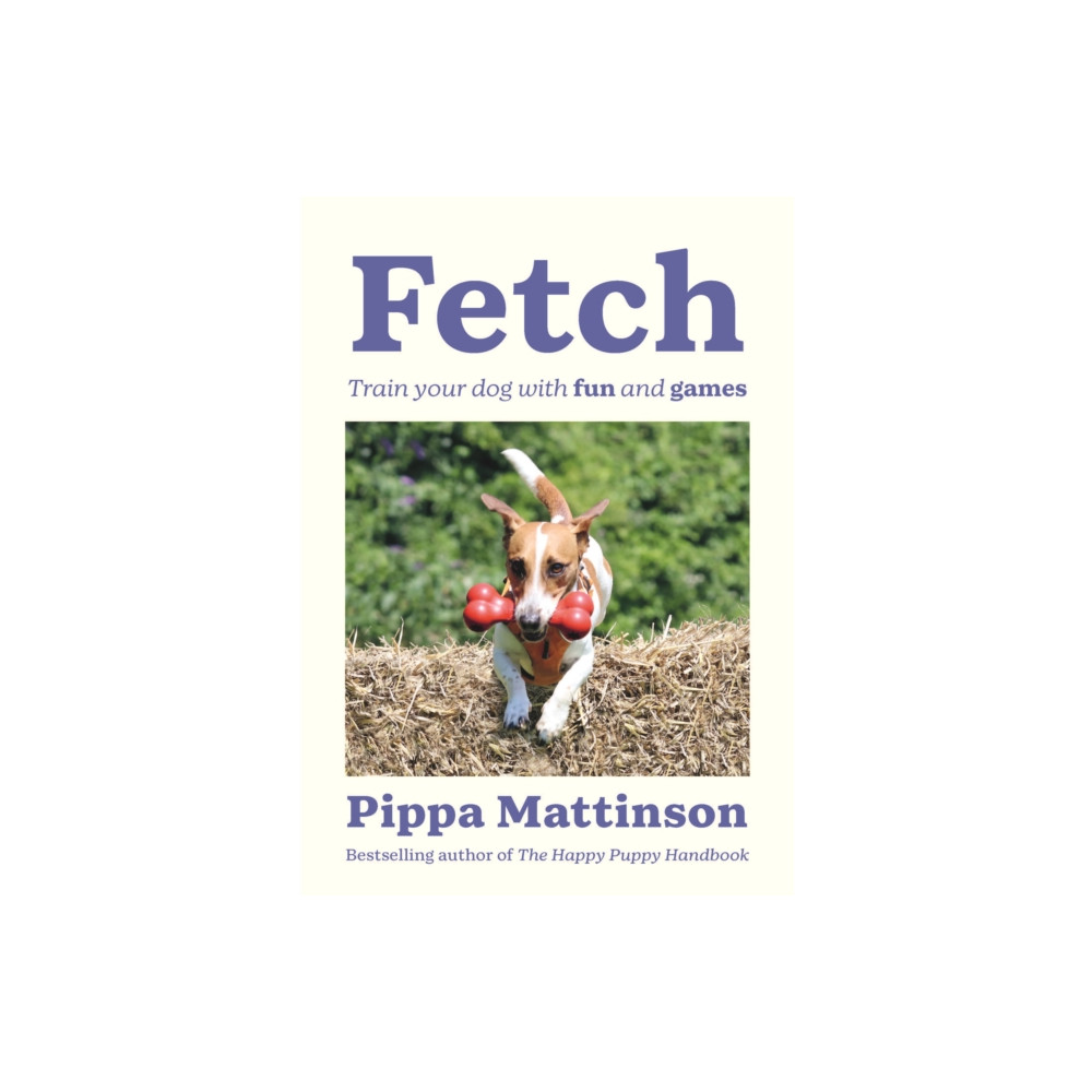 Produktbild för Fetch (häftad, eng)