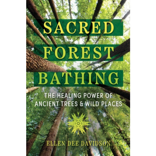 Inner Traditions Bear and Company Sacred Forest Bathing (häftad, eng)