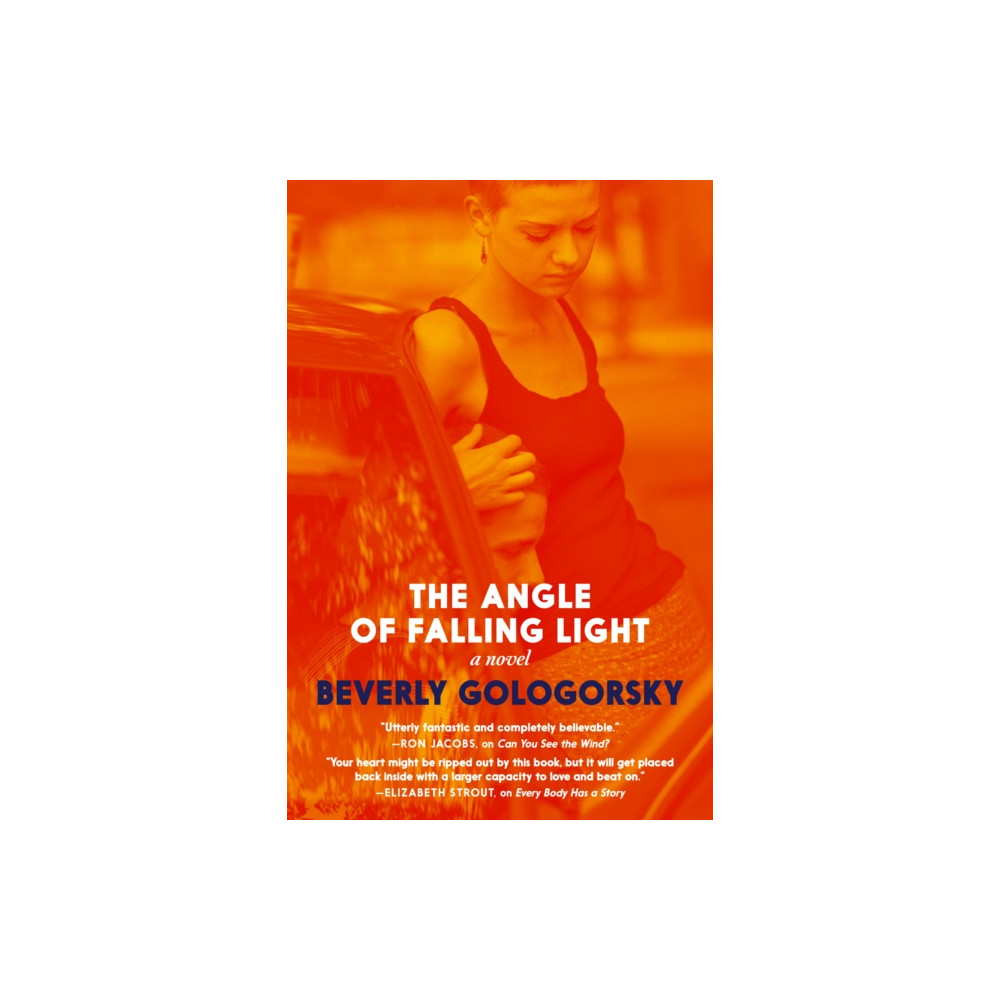 Produktbild för The Angle of Falling Light (häftad, eng)