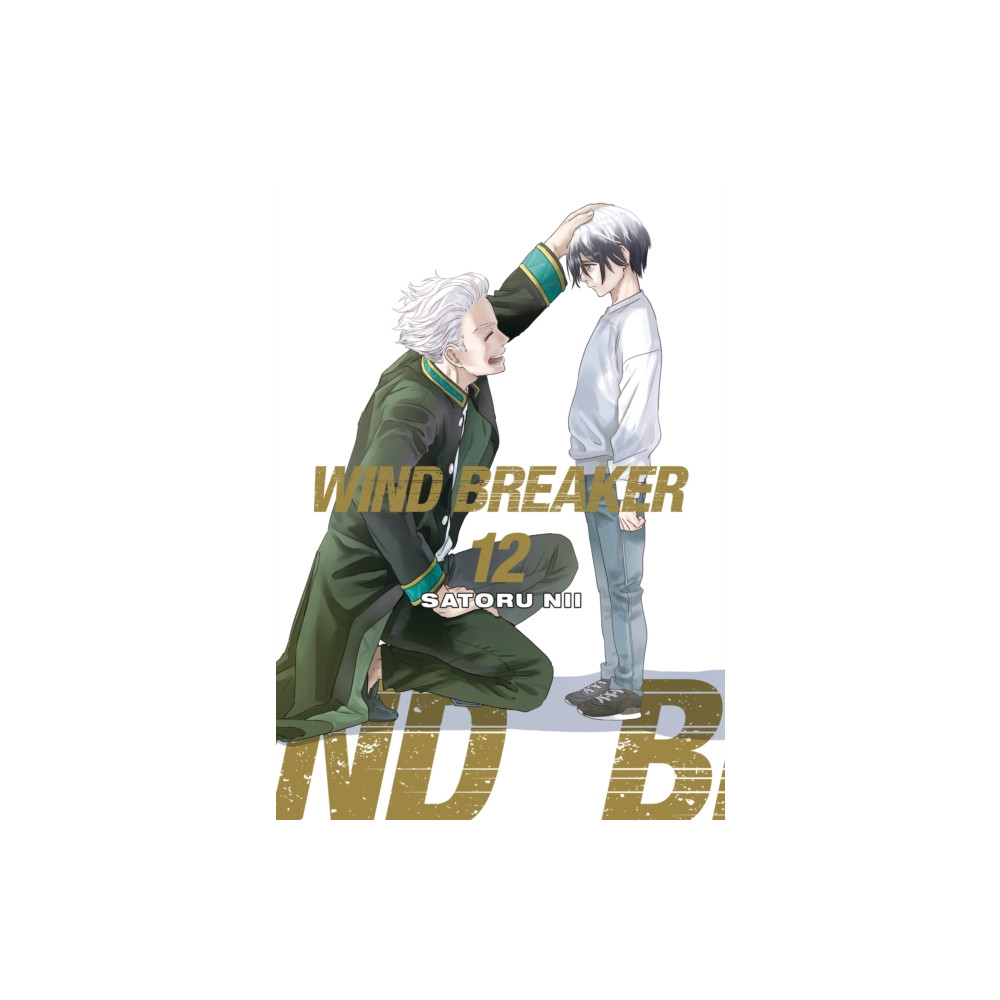 Produktbild för WIND BREAKER 12 (häftad, eng)