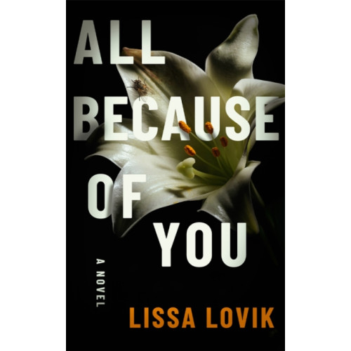 Amazon Publishing All Because of You (häftad, eng)