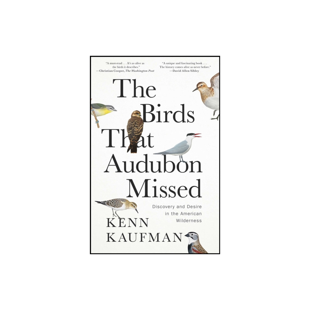 Produktbild för The Birds That Audubon Missed (häftad, eng)