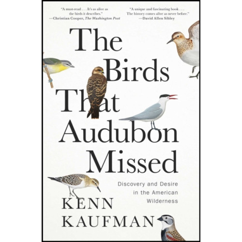Simon & Schuster The Birds That Audubon Missed (häftad, eng)