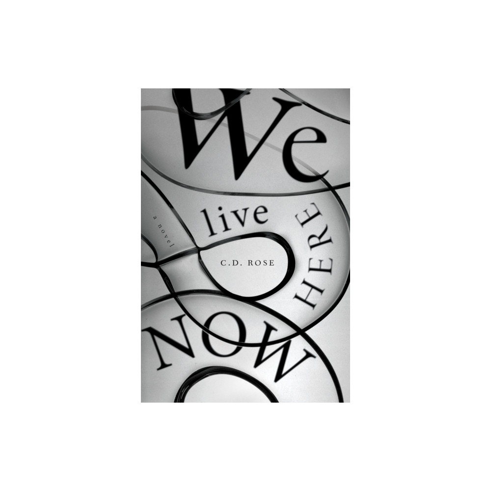 Produktbild för We Live Here Now (häftad, eng)