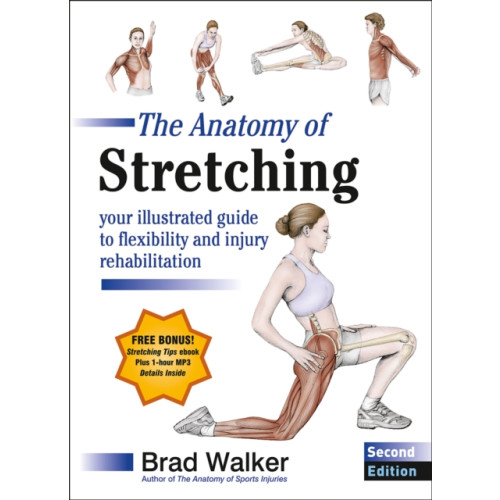 Human Kinetics Publishers The Anatomy of Stretching (häftad, eng)