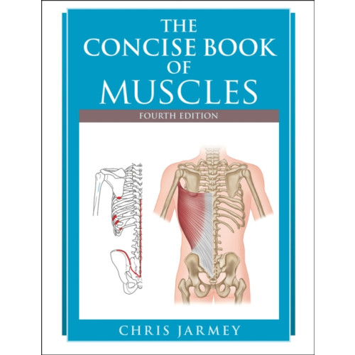 Human Kinetics Publishers The Concise Book of Muscles (häftad, eng)