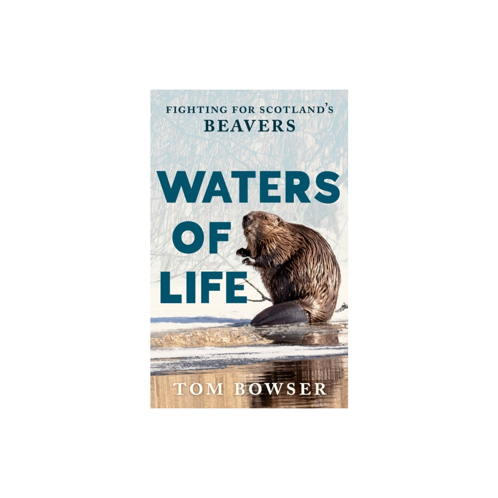 Produktbild för Waters of Life (häftad, eng)