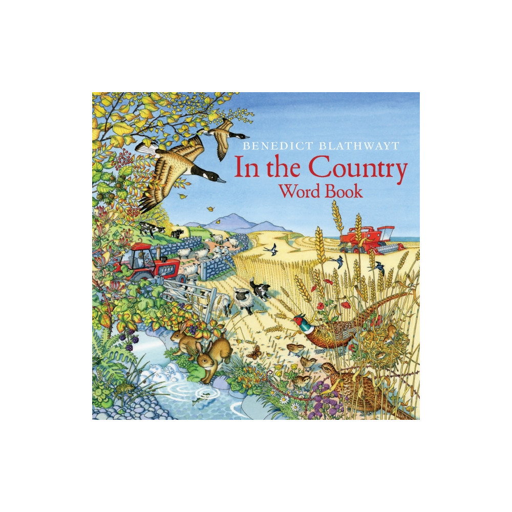 Produktbild för In the Country (häftad, eng)