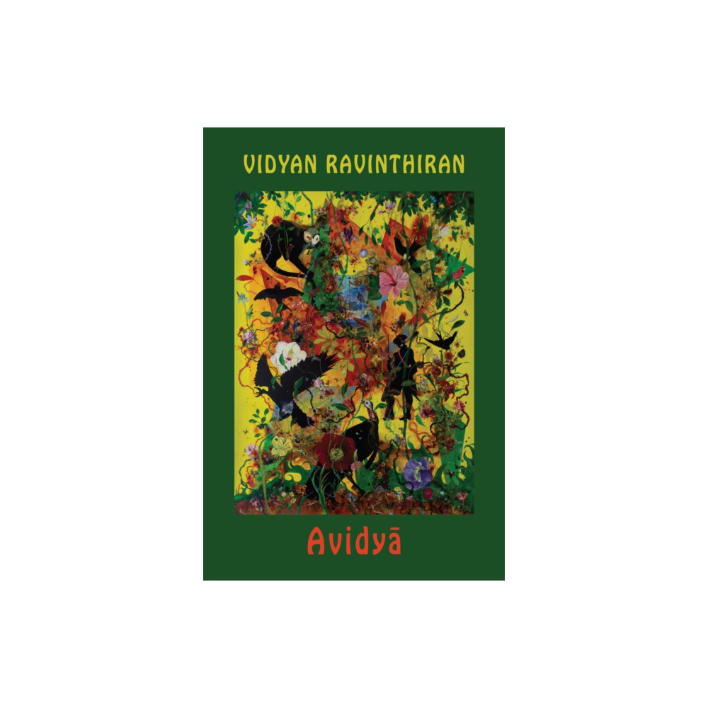 Produktbild för Avidya (häftad, eng)