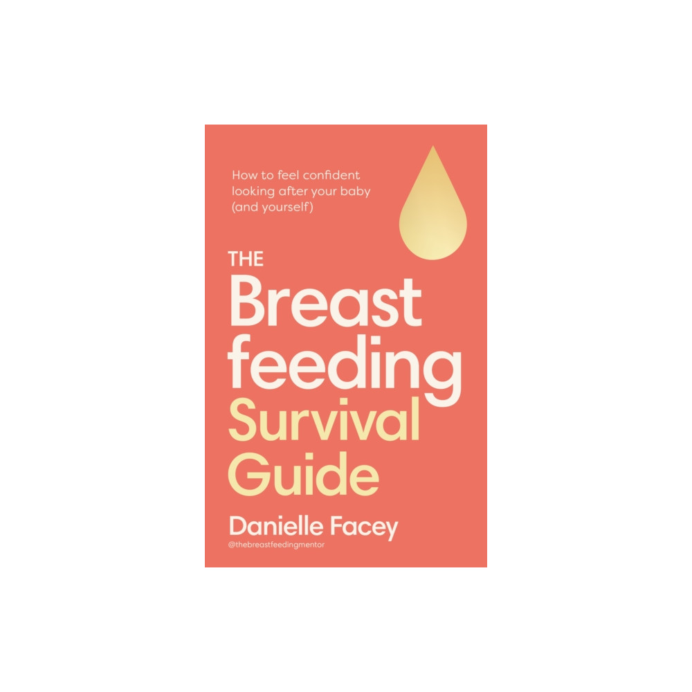 Produktbild för The Breastfeeding Survival Guide (häftad, eng)