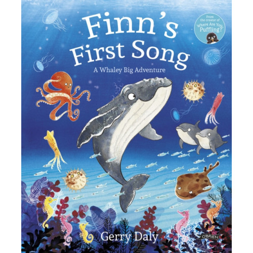 O'Brien Press Ltd Finn's First Song (häftad, eng)