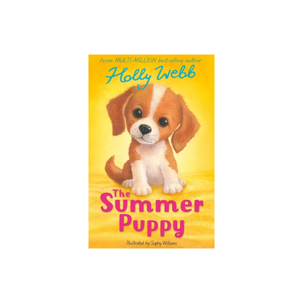 Produktbild för The Summer Puppy (häftad, eng)