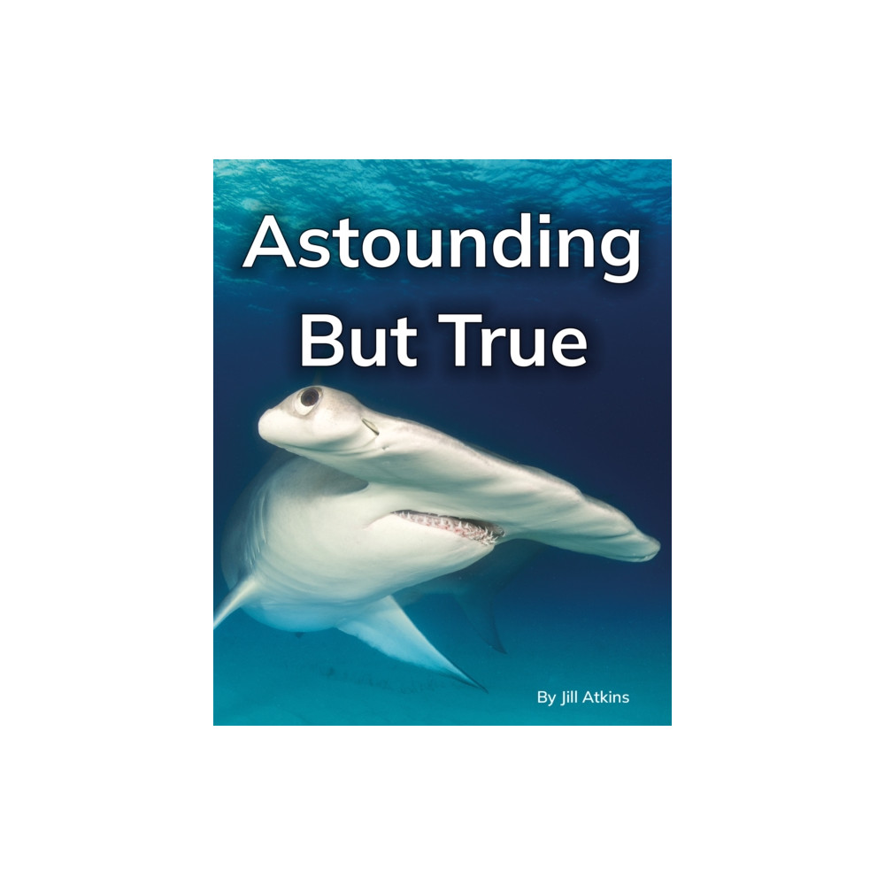 Produktbild för Astounding But True (häftad, eng)