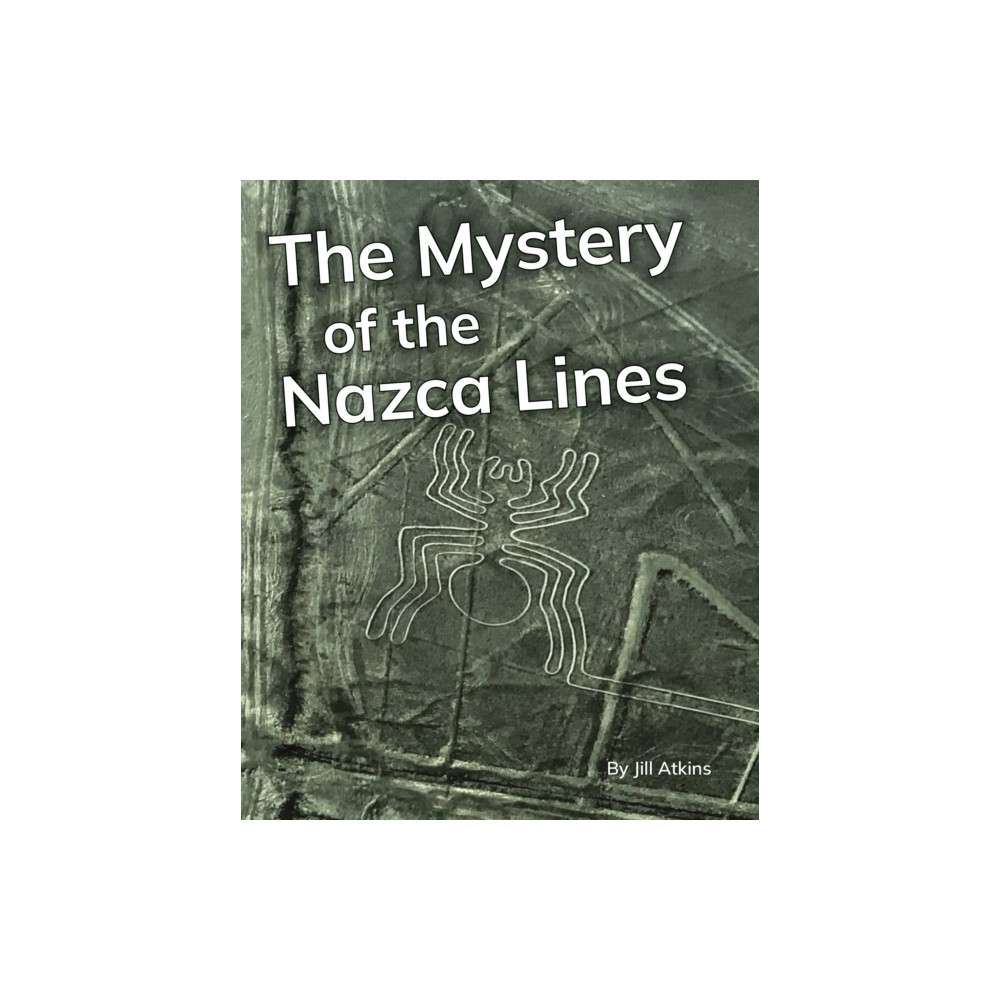 Produktbild för The Mystery of the Nazca Lines (häftad, eng)