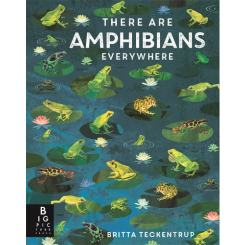 Templar Books There Are Amphibians Everywhere (inbunden, eng)