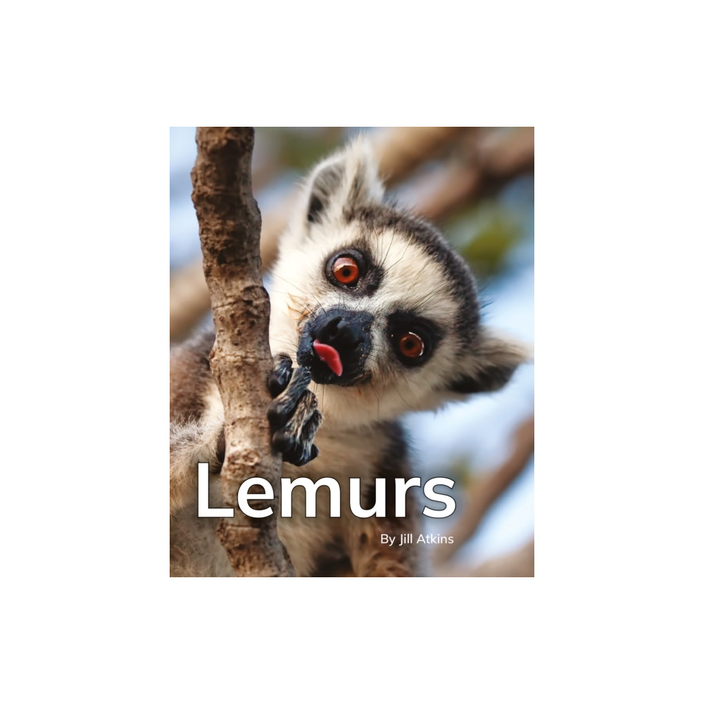 Produktbild för Lemurs (häftad, eng)