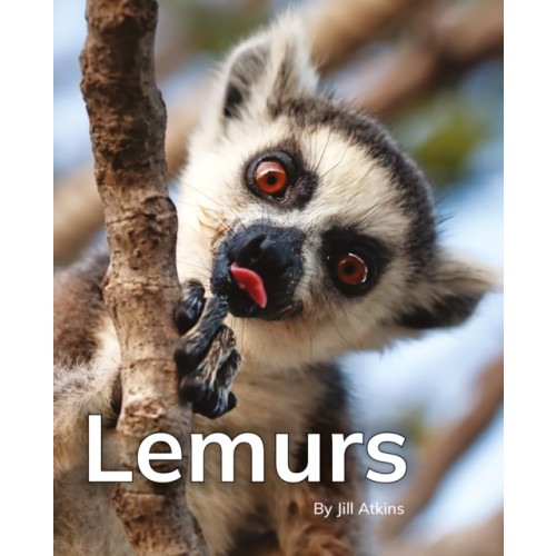 Ransom Publishing Lemurs (häftad, eng)