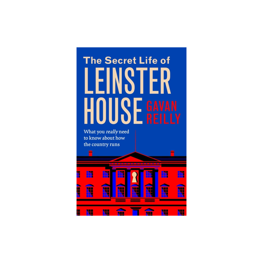 Produktbild för The Secret Life of Leinster House (häftad, eng)