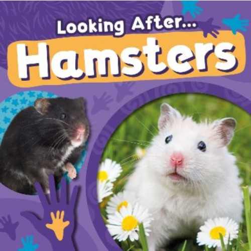 BookLife Publishing Hamsters (häftad, eng)