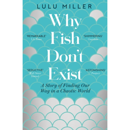 Pushkin Press Why Fish Don't Exist (häftad, eng)