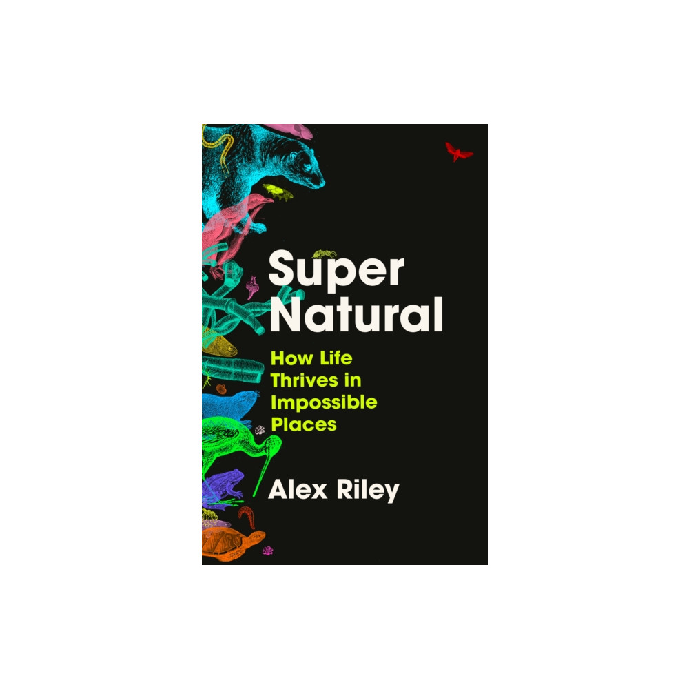 Produktbild för Super Natural (inbunden, eng)