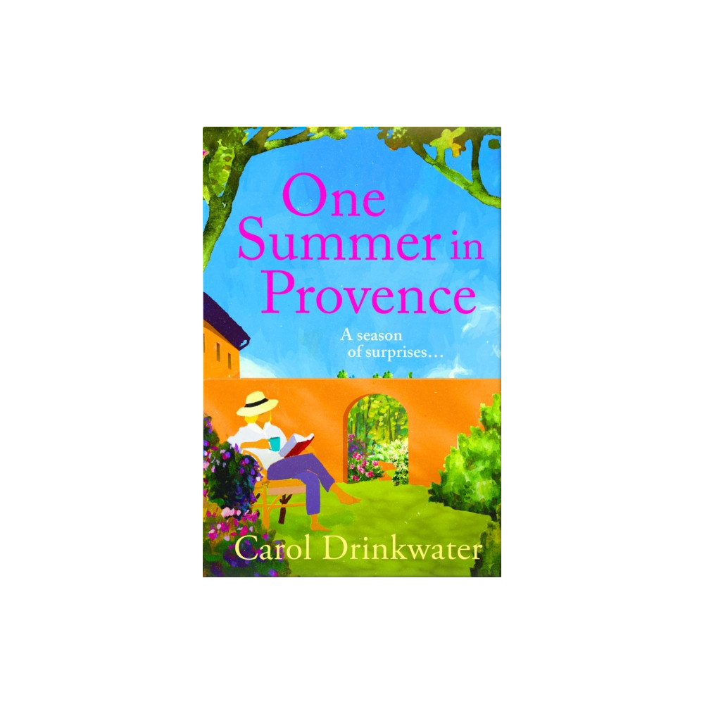 Produktbild för One Summer in Provence (häftad, eng)
