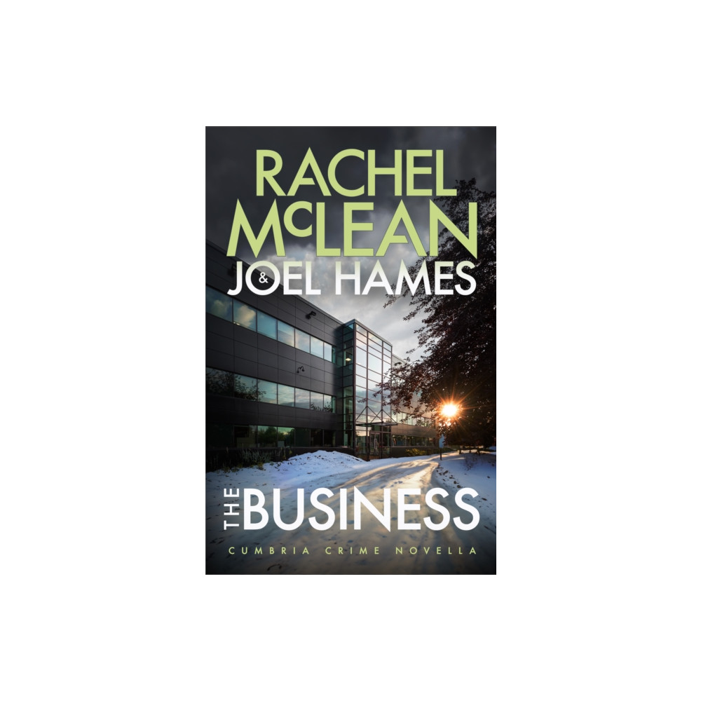 Produktbild för The Business (häftad, eng)