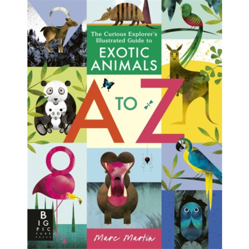 Bonnier Books Ltd The Curious Explorer's Illustrated Guide to Exotic Animals A to Z (häftad, eng)