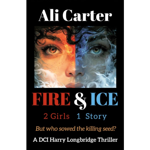 Troubador Publishing Fire & Ice (häftad, eng)