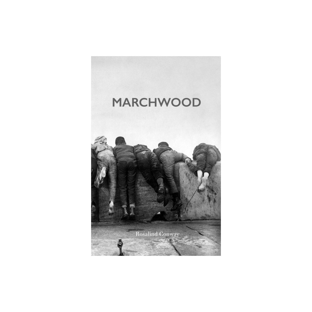 Produktbild för Marchwood (häftad, eng)