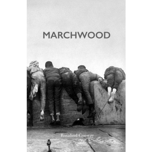 Troubador Publishing Marchwood (häftad, eng)