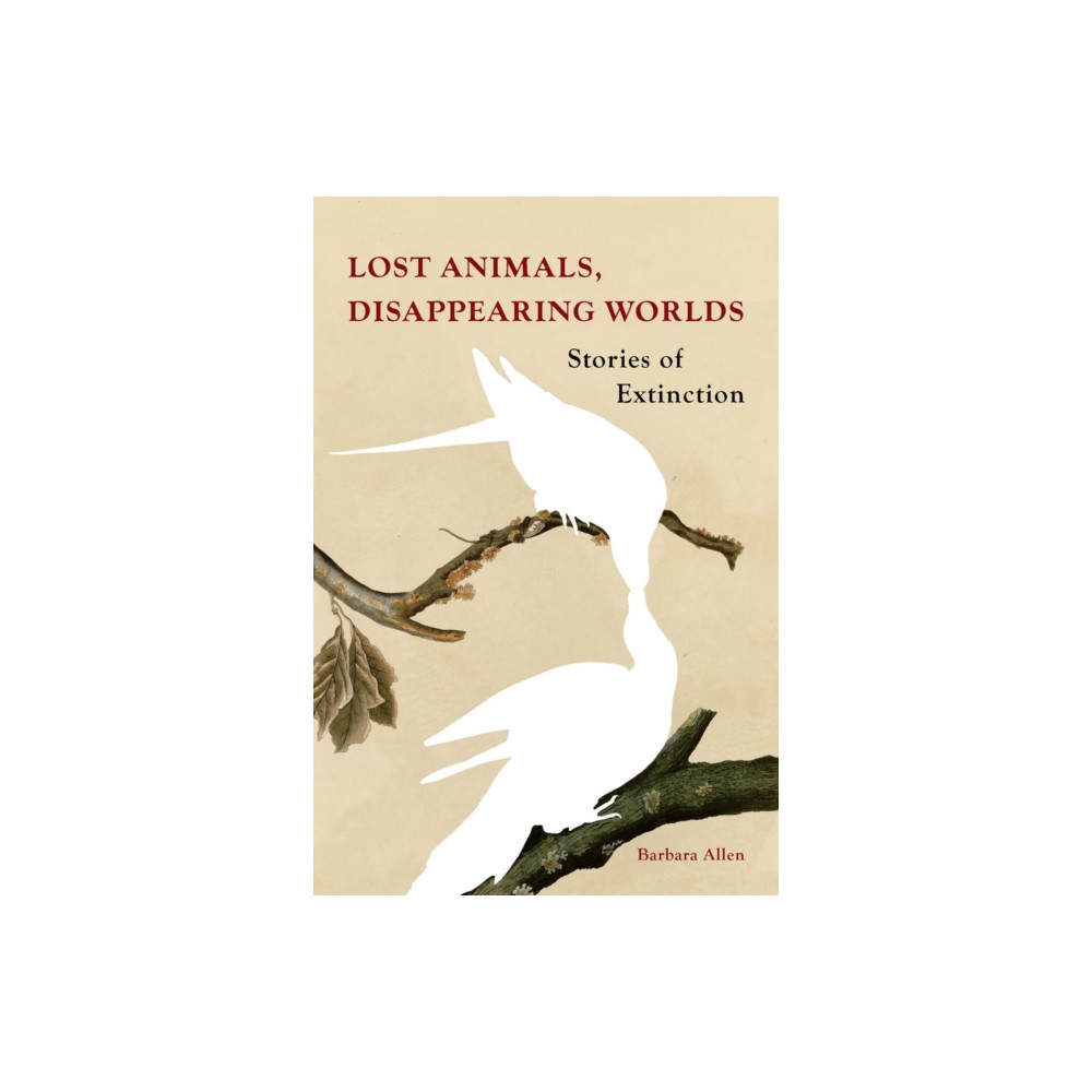 Produktbild för Lost Animals, Disappearing Worlds (inbunden, eng)