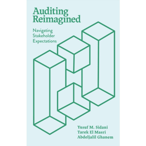 Emerald Publishing Limited Auditing Reimagined (häftad, eng)