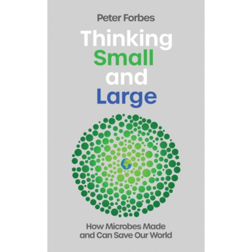 Icon Books Thinking Small and Large (inbunden, eng)