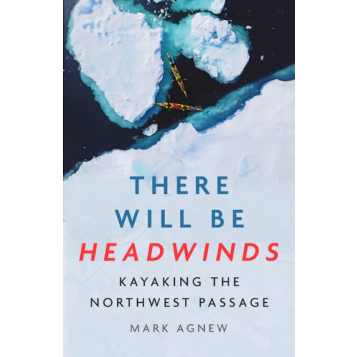 Icon Books There Will Be Headwinds (inbunden, eng)