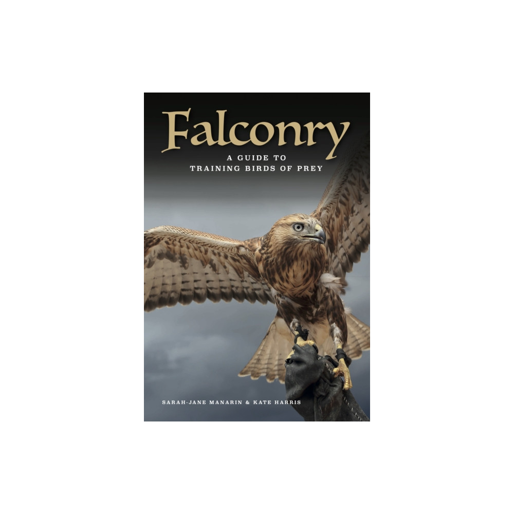 Produktbild för Falconry (inbunden, eng)