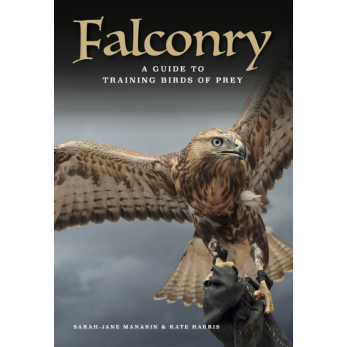 Amber Books Ltd Falconry (inbunden, eng)